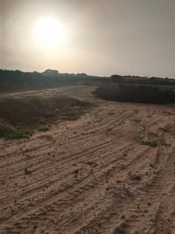 Terreno en ciudad qiedada s/n photo 1