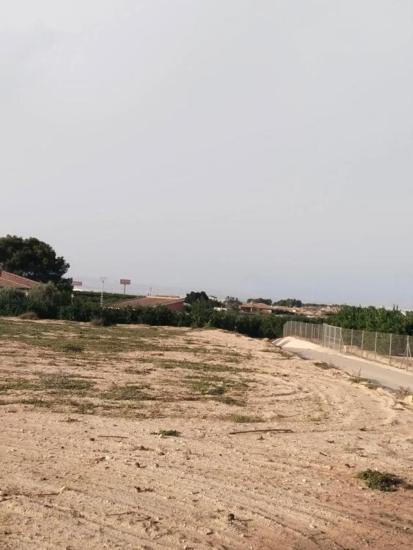 Działka na sprzedaż w Algorfa, Alicante photo 2