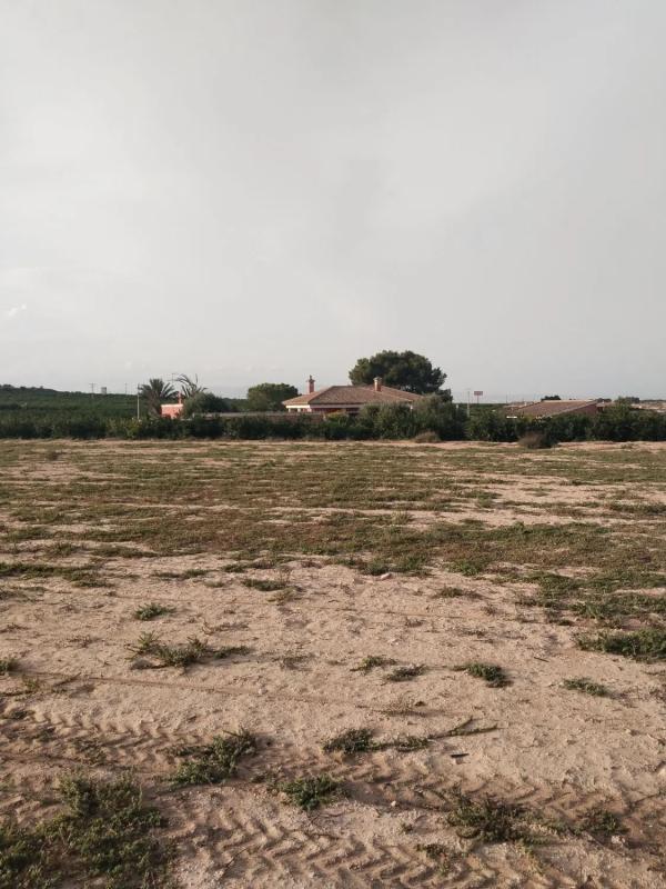 Działka na sprzedaż w Algorfa, Alicante photo 4