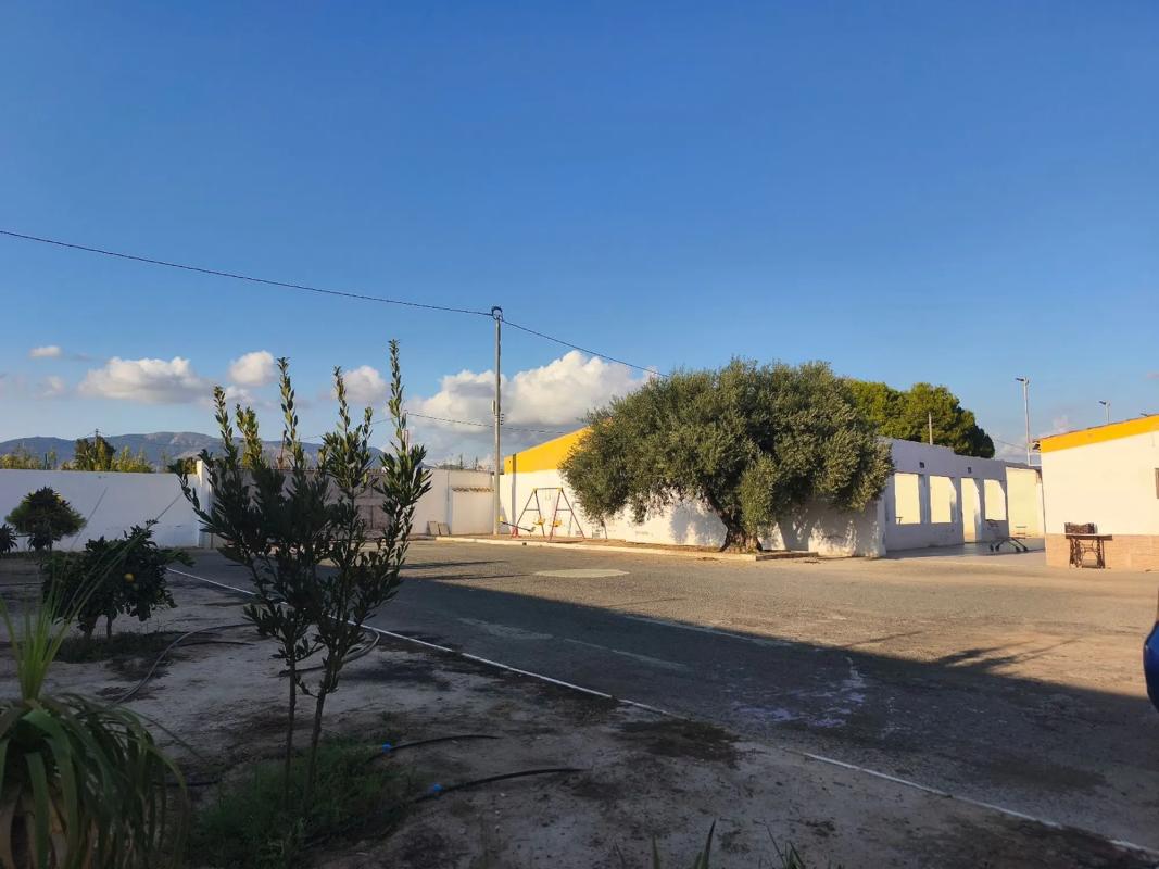 Terreno en venta en Albatera, Alicante photo 5