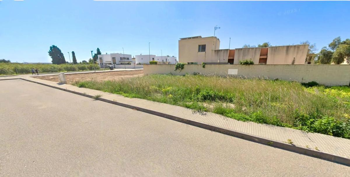 Terreno en venta en Callosa de Segura, Alicante photo 4