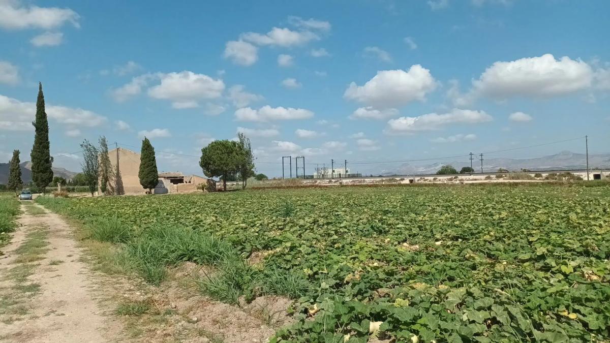Terreno en venta en Callosa de Segura, Alicante photo 3