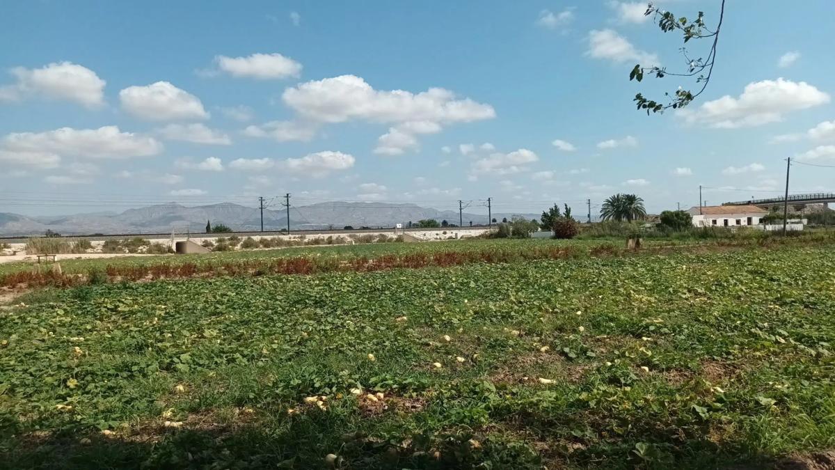 Terreno en venta en Callosa de Segura, Alicante photo 4
