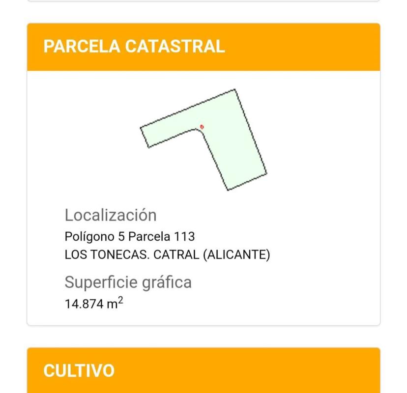 Land for sale in Catral, Alicante photo 2