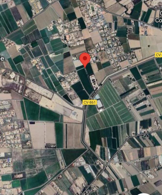 Land for sale in Catral, Alicante photo 5