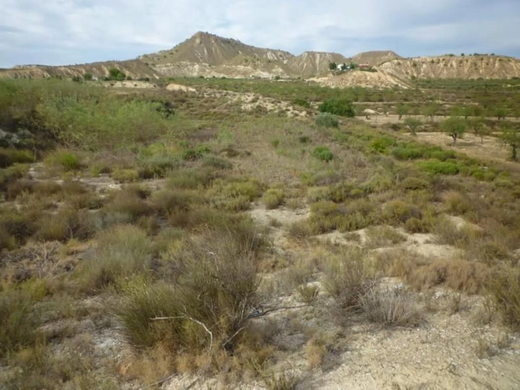 Terreno en venta en Orihuela, Alicante photo 4