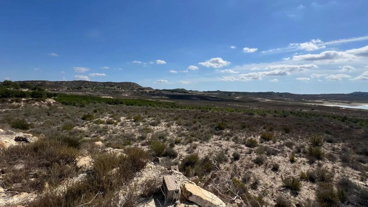 Terreno en venta en Orihuela, Alicante photo 3