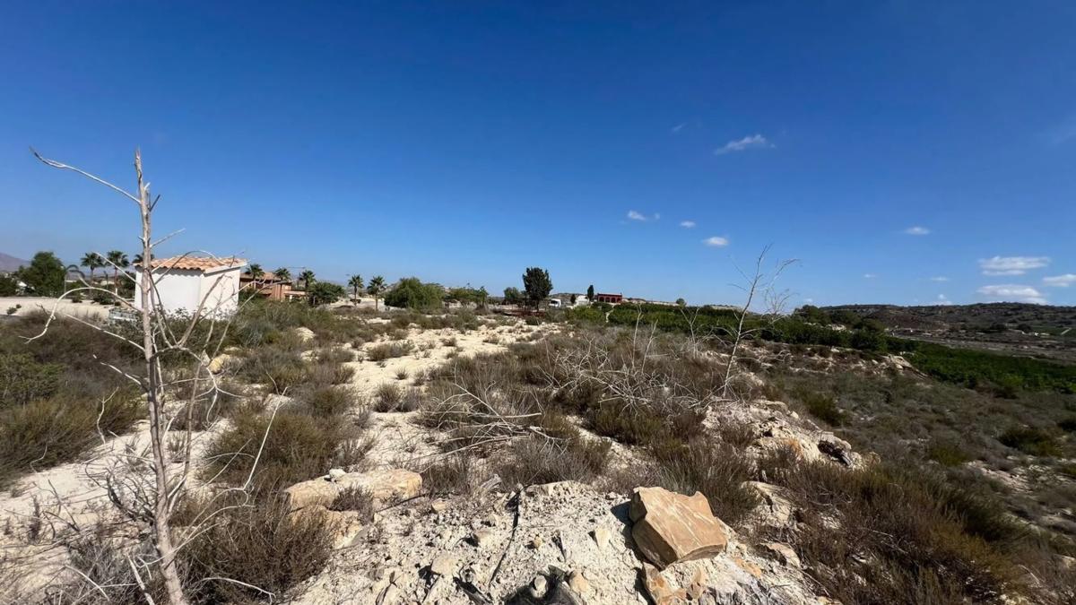 Terreno en venta en Orihuela, Alicante photo 4