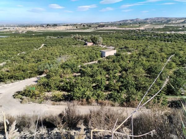 Terreno en Cv-95 s/n photo 3