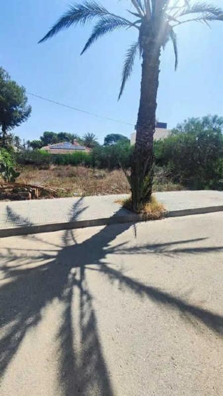 Land for sale in Orihuela, Alicante photo 3