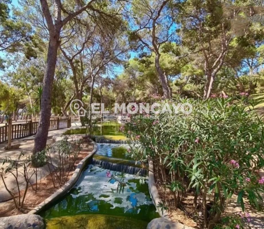 Terreno en venta en San Fulgencio, Alicante photo 2