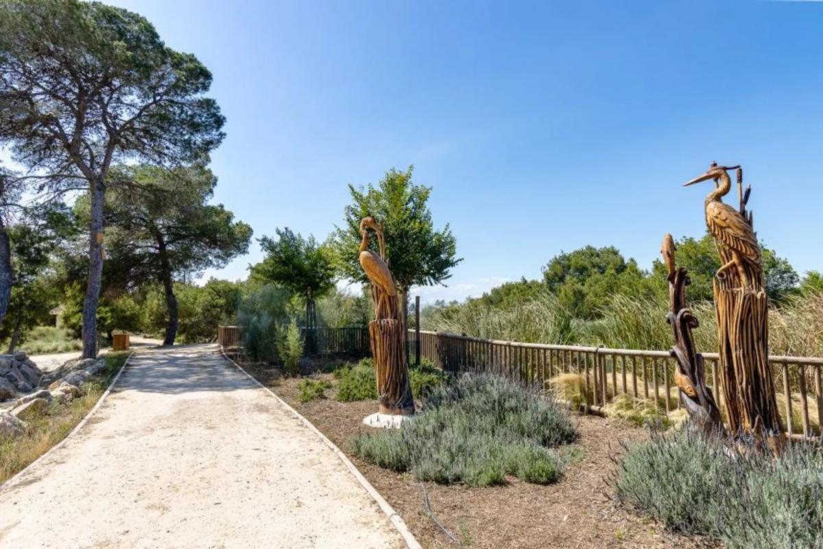 Terreno en venta en Rojales, Alicante photo 4