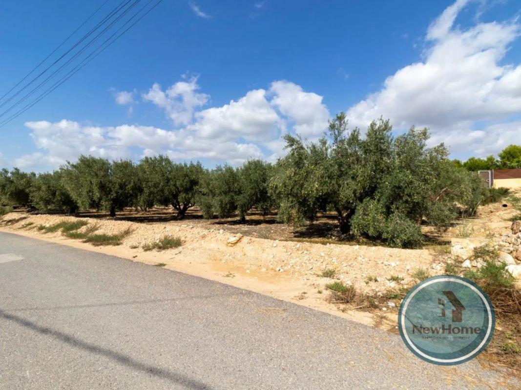 Terreno en venta en Crevillente, Alicante photo 1