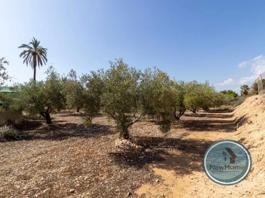 Terreno en venta en Crevillente, Alicante photo 2
