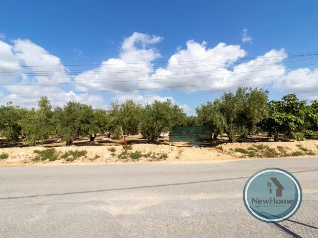 Terreno en venta en Crevillente, Alicante photo 3
