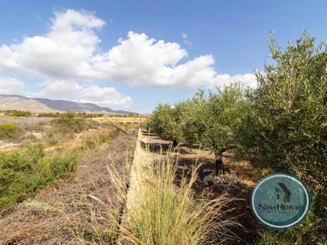 Terreno en venta en Crevillente, Alicante photo 4