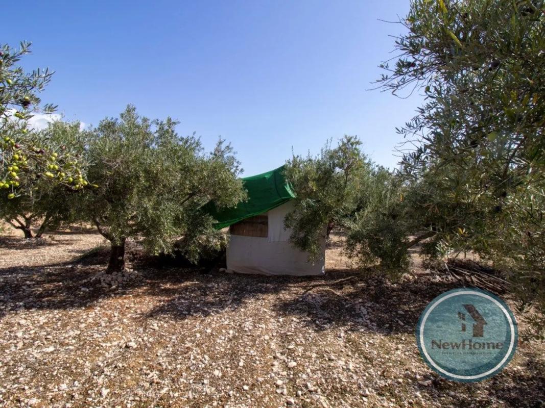 Terreno en venta en Crevillente, Alicante photo 5