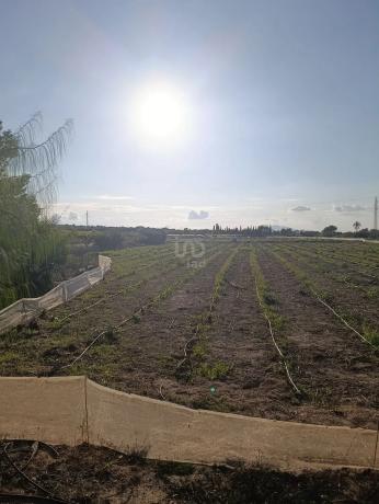 Terreno en La Marina photo 1