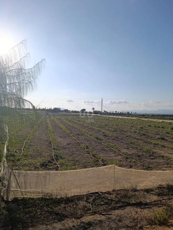 Terreno en venta en Elche / Elx, Alicante photo 2