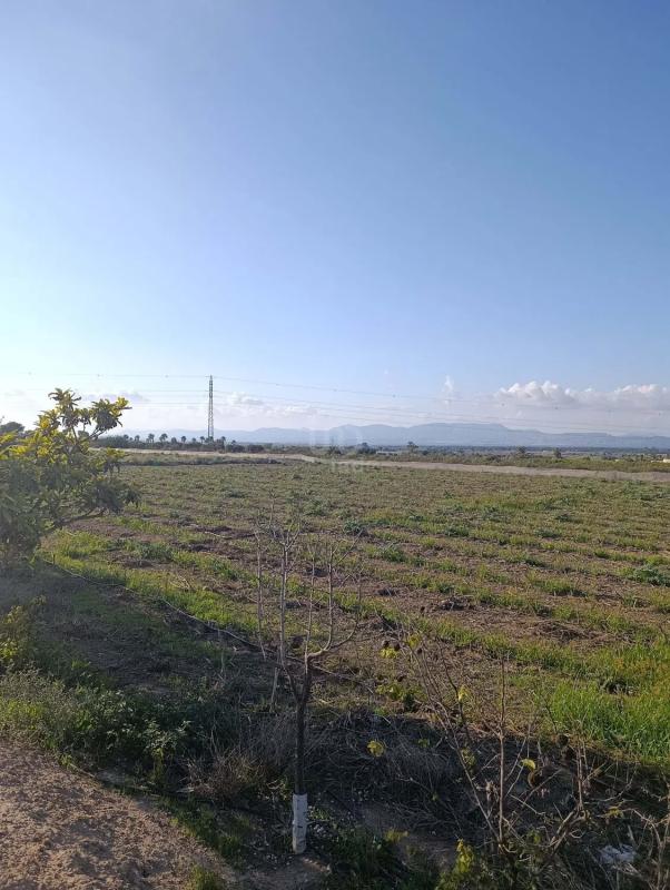 Terreno en venta en Elche / Elx, Alicante photo 3