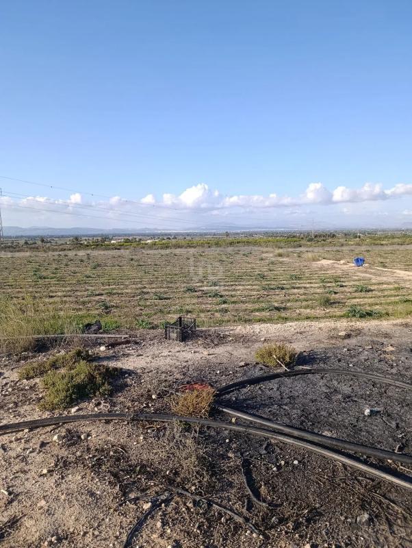 Terreno en venta en Elche / Elx, Alicante photo 4