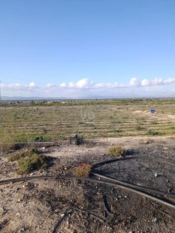 Terreno en La Marina photo 4