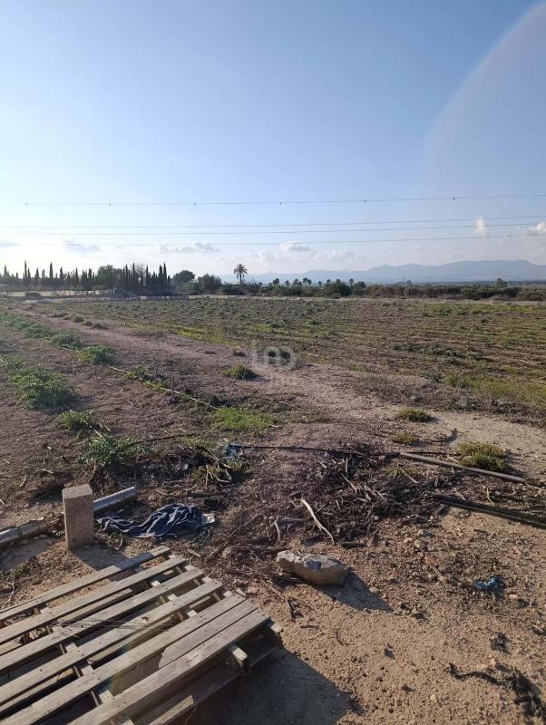 Terreno en venta en Elche / Elx, Alicante photo 5