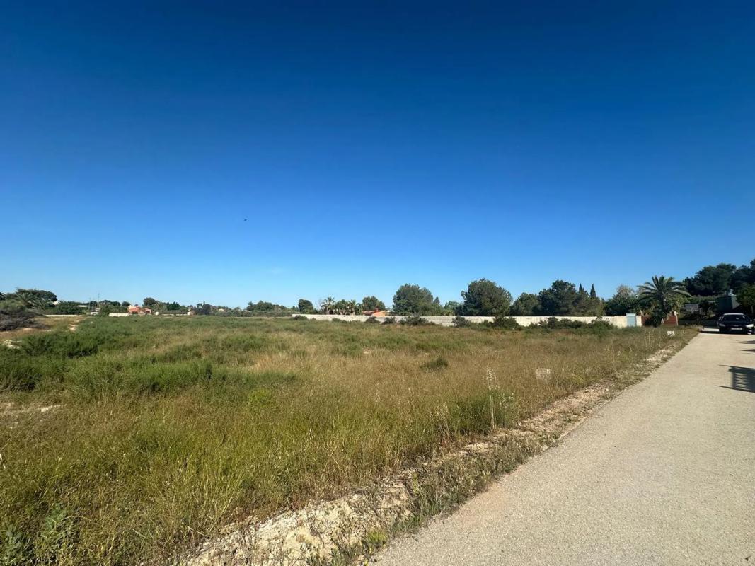 Land for sale in Elche / Elx, Alicante photo 3