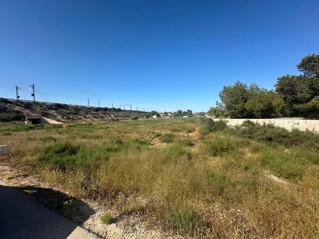Land for sale in Elche / Elx, Alicante photo 5