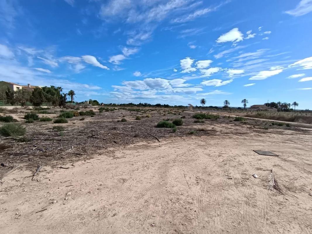 Land for sale in Elche / Elx, Alicante photo 1