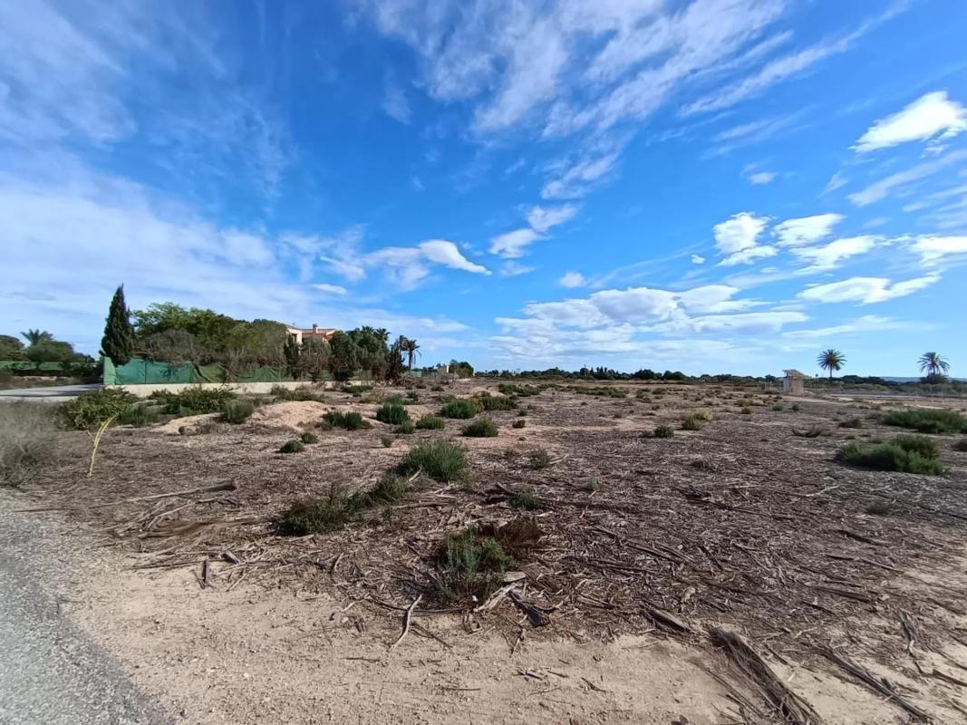 Land for sale in Elche / Elx, Alicante photo 2
