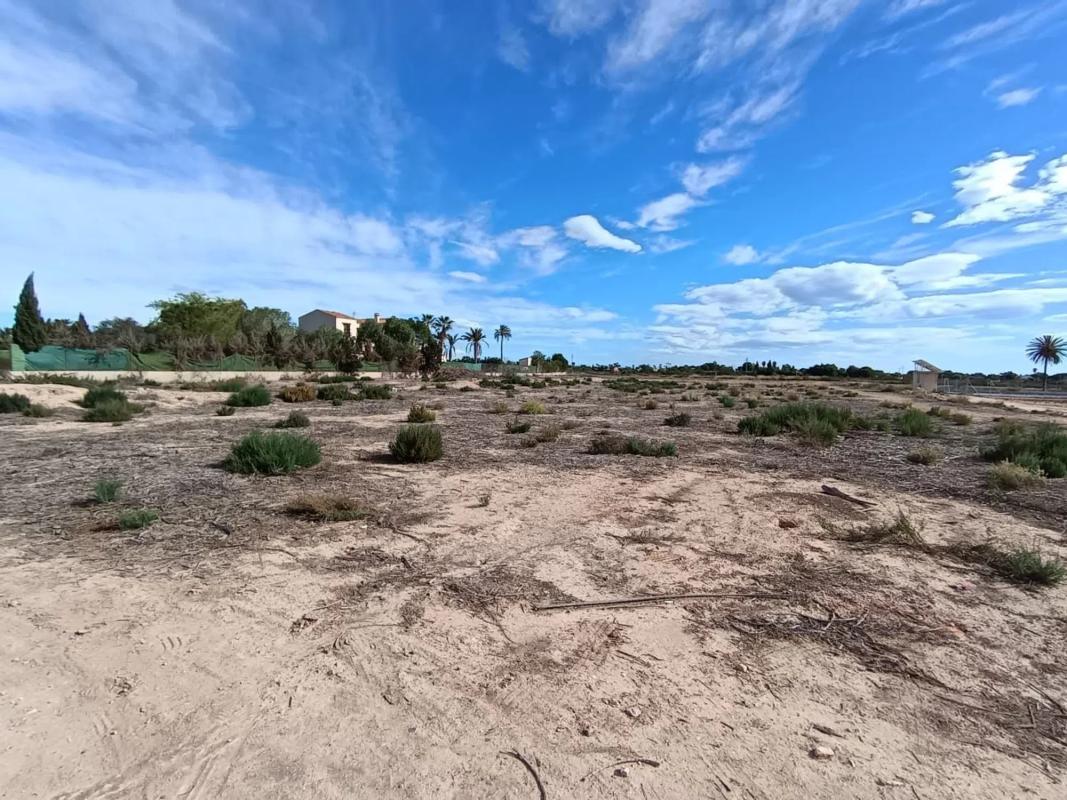 Land for sale in Elche / Elx, Alicante photo 3