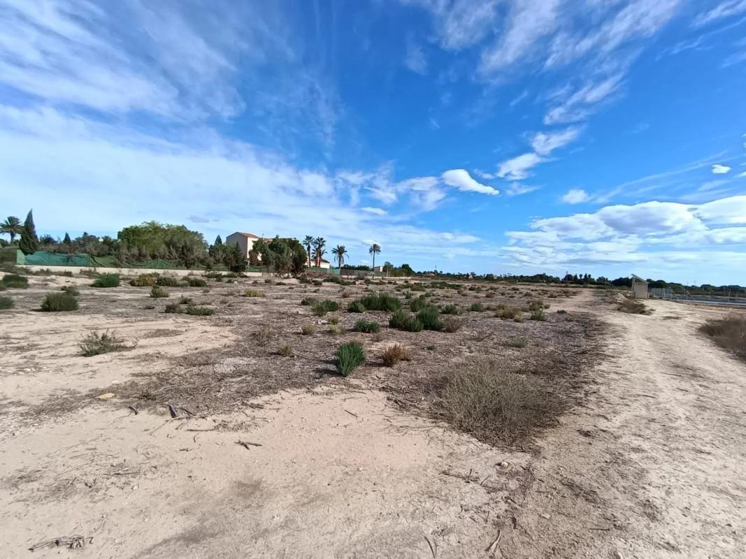 Land for sale in Elche / Elx, Alicante photo 4