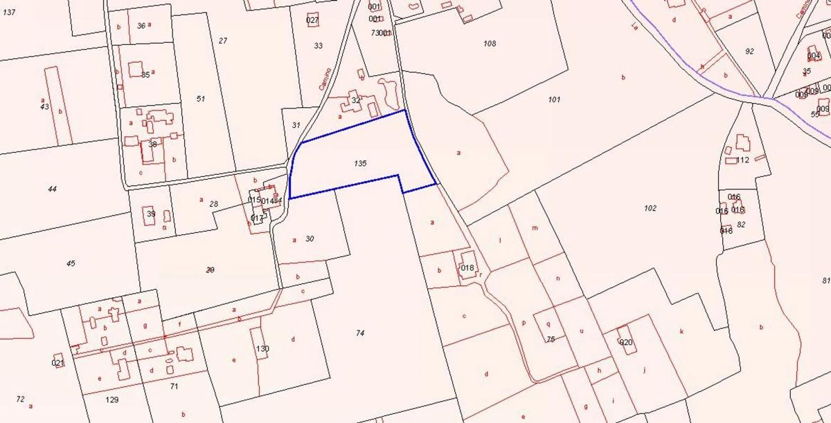 Land for sale in Elche / Elx, Alicante photo 5