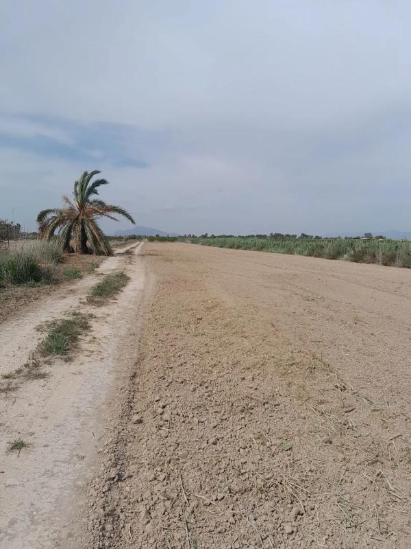 Działka na sprzedaż w Elche / Elx, Alicante photo 1