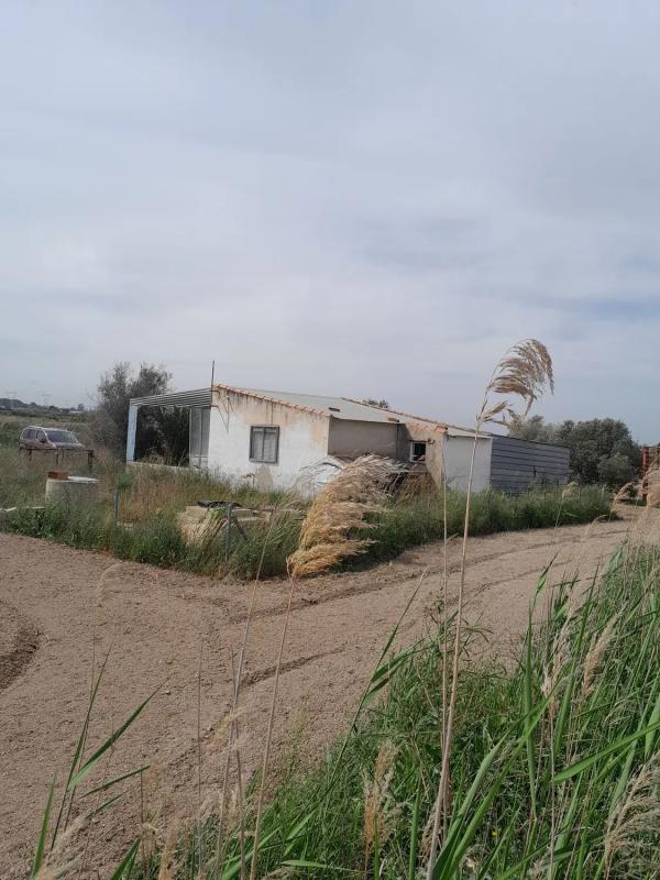 Działka na sprzedaż w Elche / Elx, Alicante photo 2