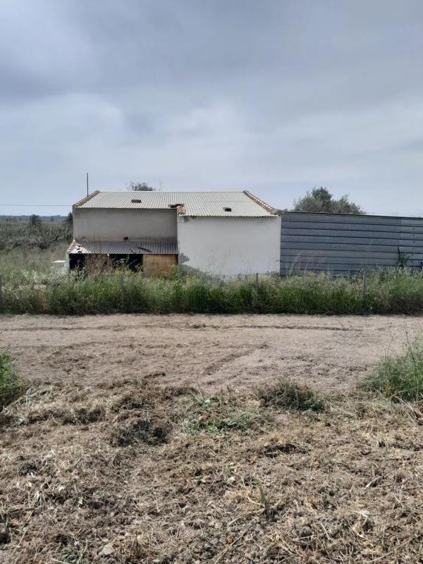 Działka na sprzedaż w Elche / Elx, Alicante photo 3