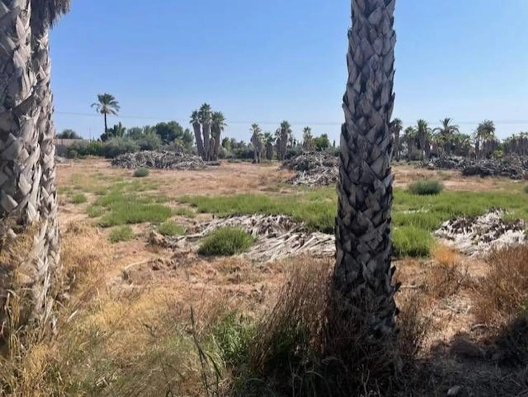 Terreno en venta en Elche / Elx, Alicante photo 3