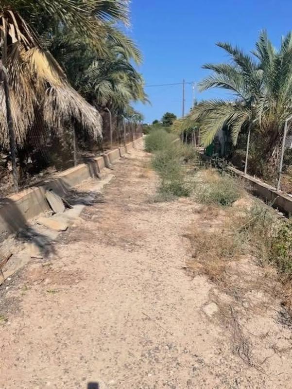 Terreno en venta en Elche / Elx, Alicante photo 4