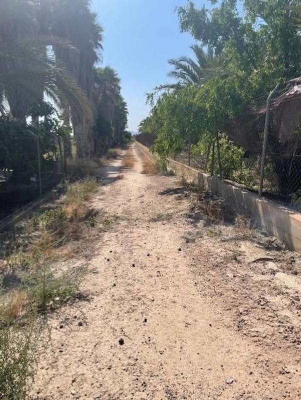 Terreno en venta en Elche / Elx, Alicante photo 5