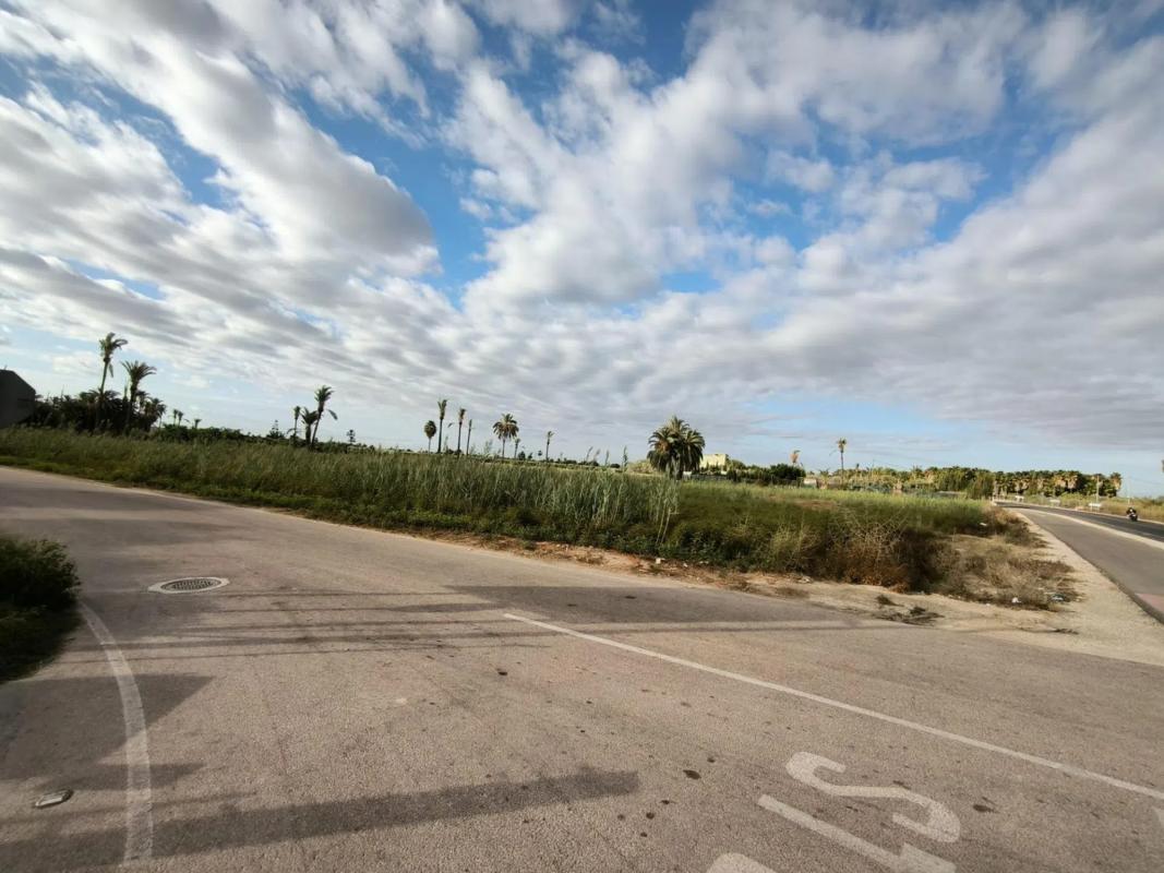 Land for sale in Elche / Elx, Alicante photo 1