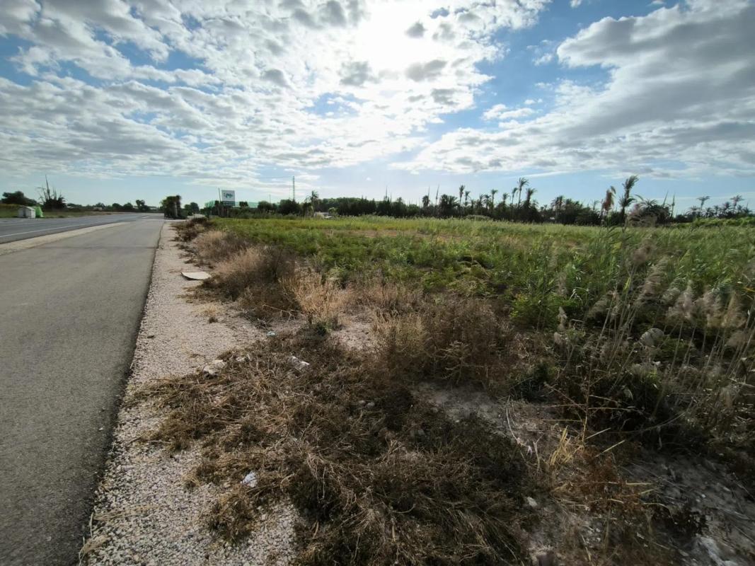 Land for sale in Elche / Elx, Alicante photo 2