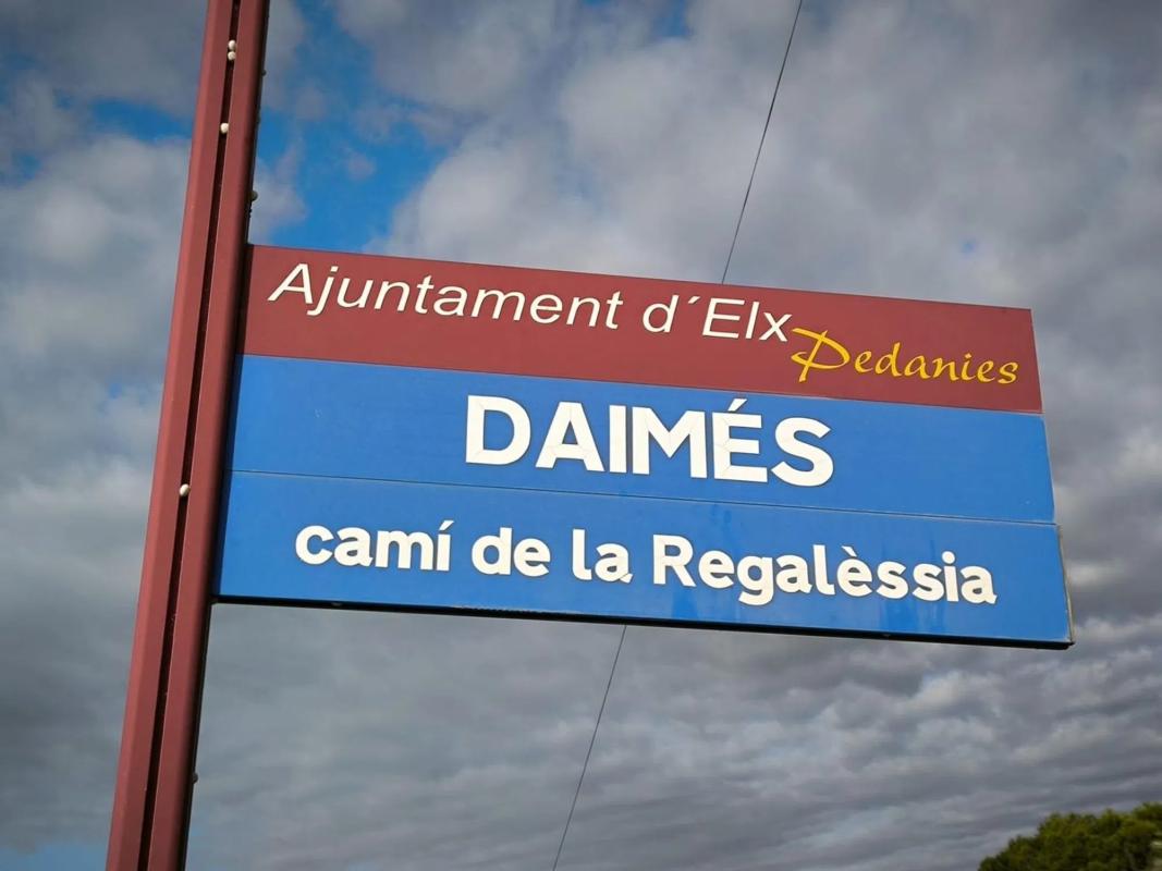Land for sale in Elche / Elx, Alicante photo 4