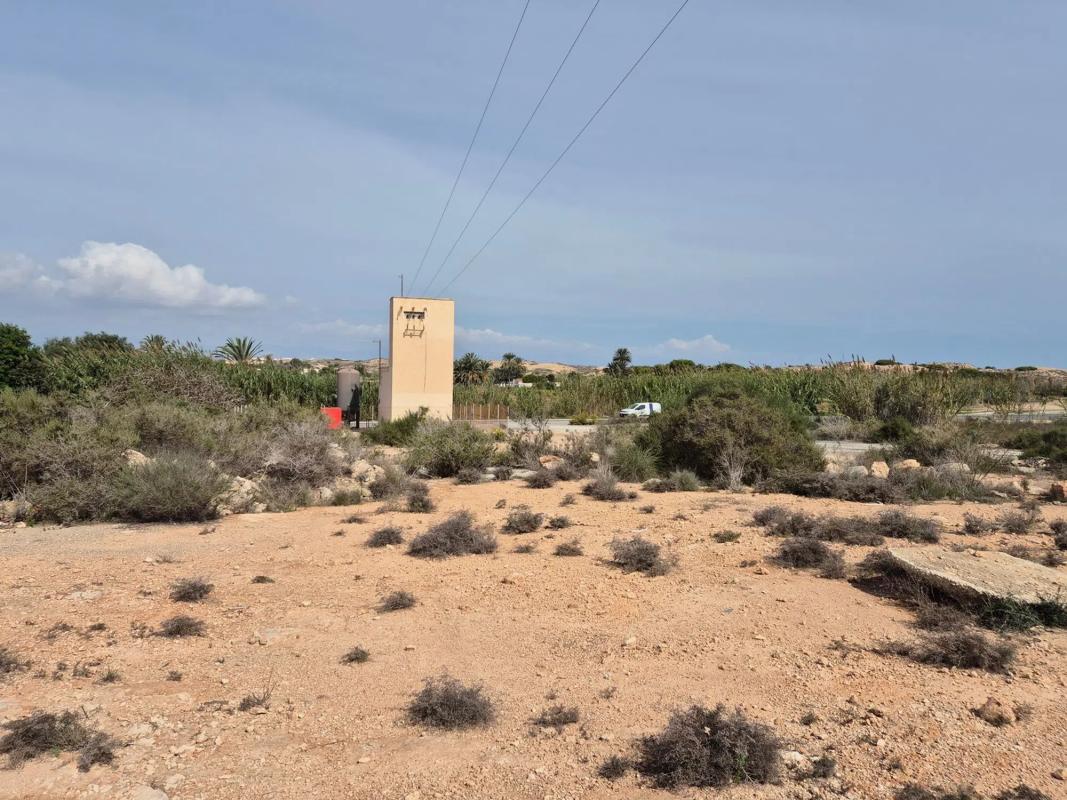 Land for sale in Elche / Elx, Alicante photo 3