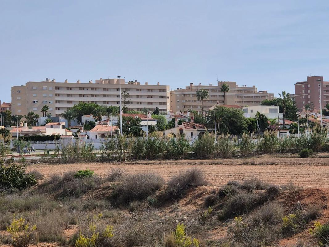 Land for sale in Elche / Elx, Alicante photo 4
