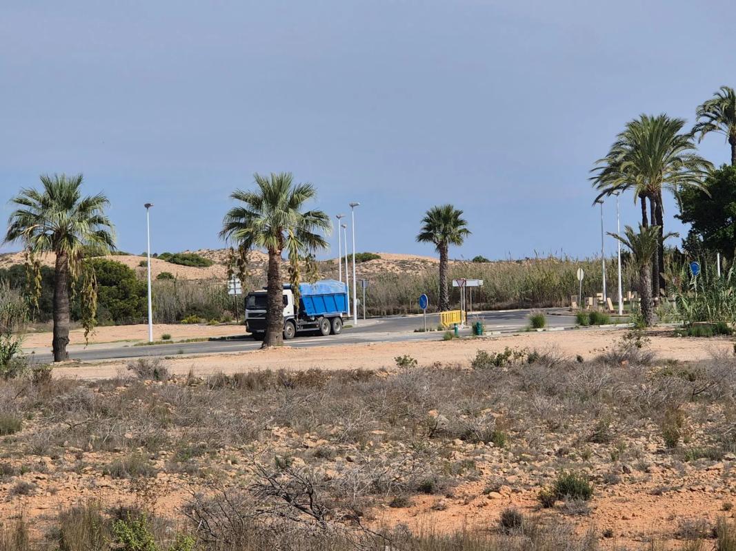 Land for sale in Elche / Elx, Alicante photo 5