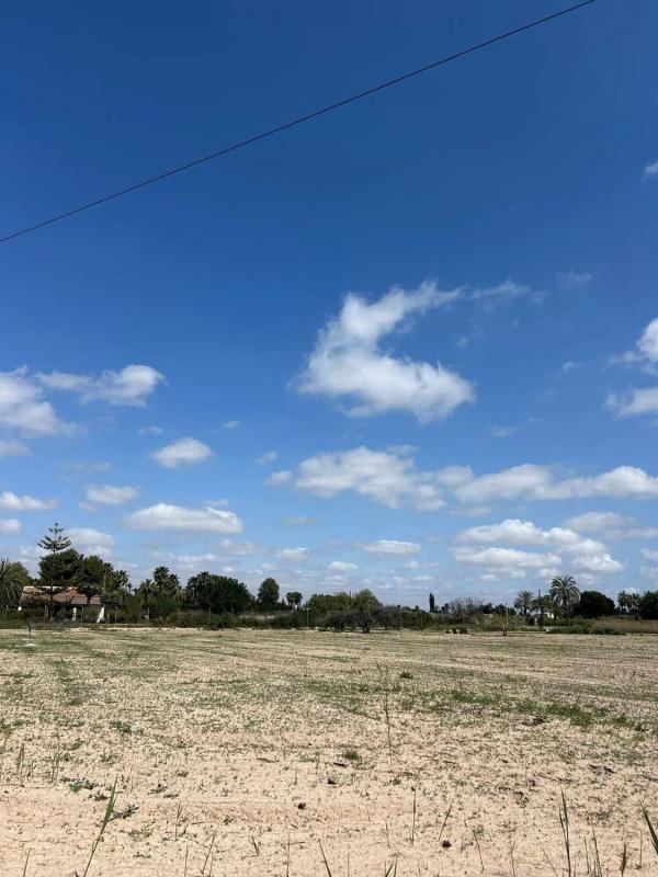 Land for sale in Elche / Elx, Alicante photo 2
