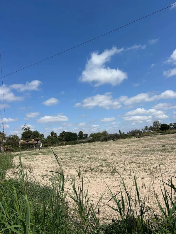 Land for sale in Elche / Elx, Alicante photo 3