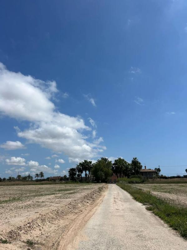Land for sale in Elche / Elx, Alicante photo 4