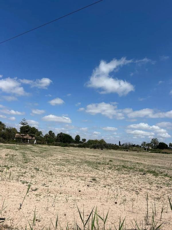 Land for sale in Elche / Elx, Alicante photo 5